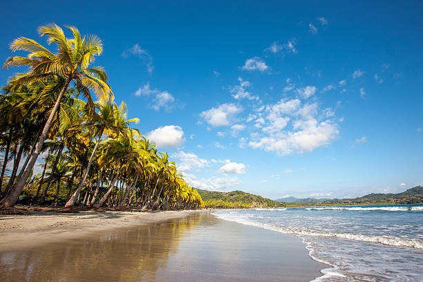 image of a beach