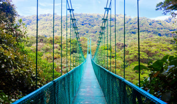 image of a bridge in costa rica