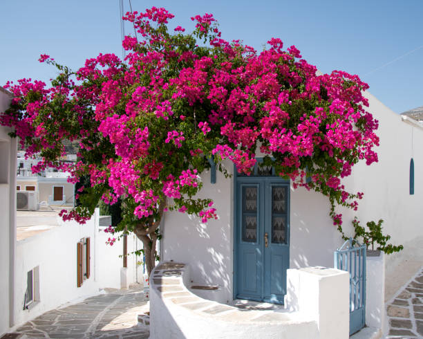 image of Lefkes paros island greece