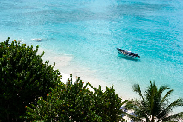 image of barbados tropical island