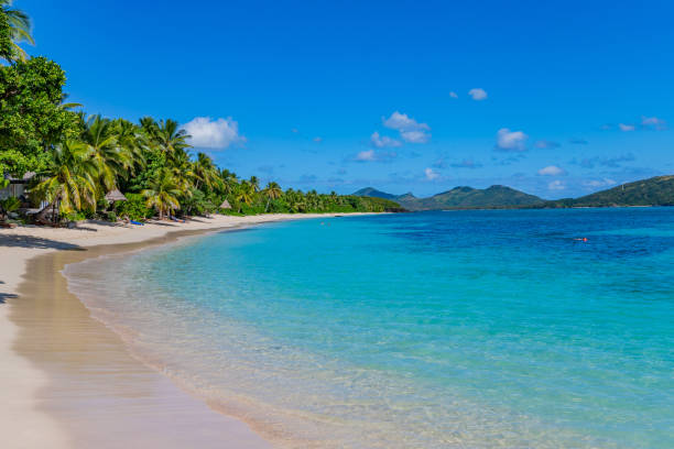 image of fiji tropical island