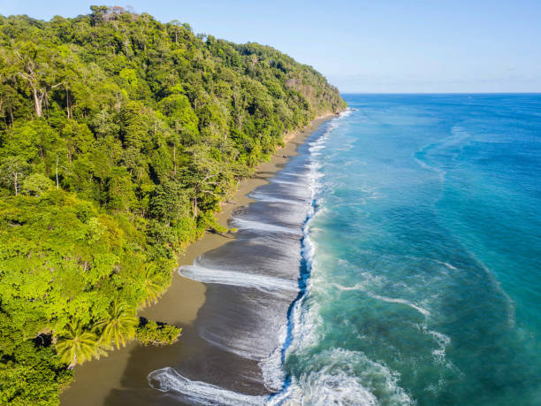 image of Corcovado National Park