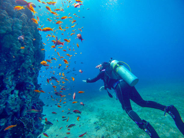 image of a person scuba diving tarifa spain