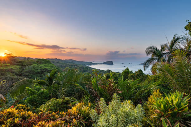 image of Manuel Antonio National Park places to go in costa rica