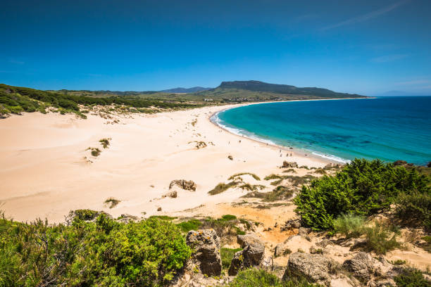 image of sand dune