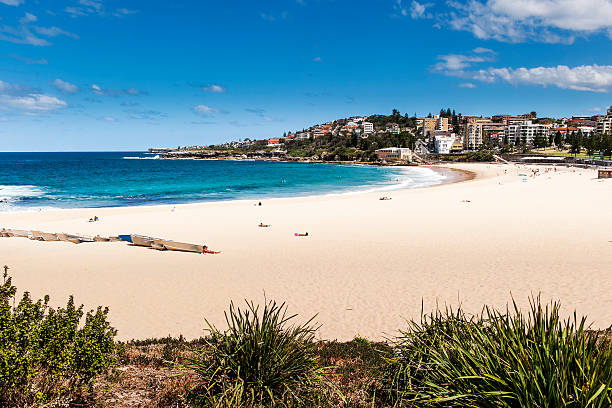 Image of Coogee beach things to do in sydney