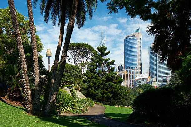 image of Royal Botanic Gardens