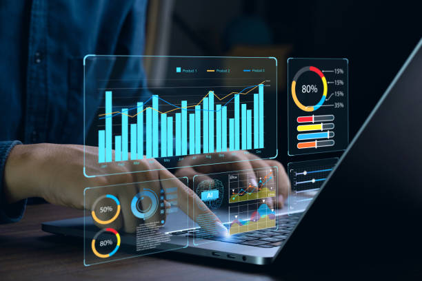 image of an SEO expert analyzing data highest paying digital nomad jobs