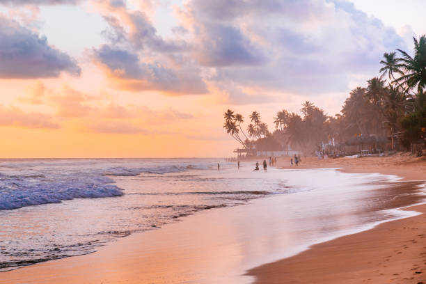 image of sri lanka best places to travel in winter